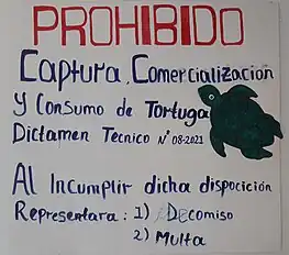 A notice in Bluefields, Nicaragua in 2023 indicating that the capturing and consuming of turtles is prohibited