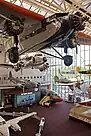 Planes suspended from the ceiling of the Smithsonian National Air and Space Museum lobby