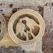 Two confronting birds