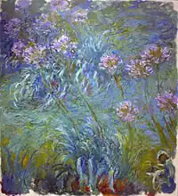Agapanthus, between 1914 and 1926, Museum of Modern Art, New York