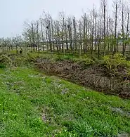 In Oksan-maeul, Hwaseong37°14′43″N 126°56′00″E﻿ / ﻿37.24528°N 126.93333°E﻿ / 37.24528; 126.93333