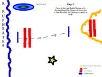 Second phase of battle