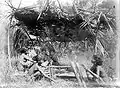 Natives of Seram island in Maluku cooking papeda in bamboo.