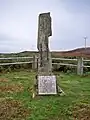 Macfie Standing Stone