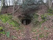 Westerham Mines