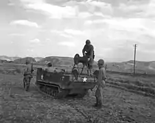 M29 Weasel of First Marine Division communication section in Korean war