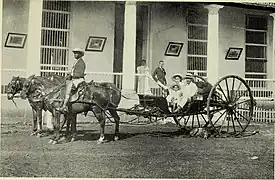 3-horse volante, 1899