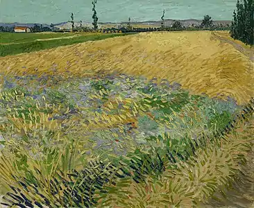 Wheat Field also Wheat Field with Alpilles Foothills in the Background, June 1888, Van Gogh Museum, Amsterdam, Netherlands (F411)