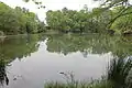 Lake in Piney Woods section