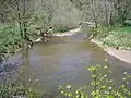 The Little Cacapon River viewed from Little Cacapon-Levels Road (County Route 3/3) near Creekvale