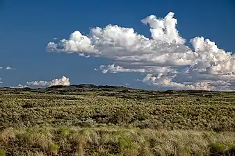View south towards the nested splatter cones