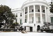 Champ and Major playing in the snow on the South Lawn of the White House in February 2021