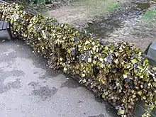 Padlocks of the Bridge of Love'