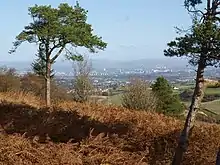Looking north towards Glasgow