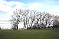 Trees and football pitches in Northwick Park