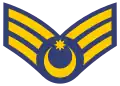 Baş gizir(Azerbaijani Air Forces)