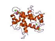 1yut: Solution structure of Calcium-S100A13 (minimized mean structure)