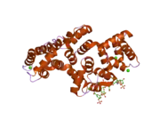 2hyv: Human Annexin A2 with heparin hexasaccharide bound