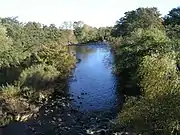 River Swale from Catterick Bridge