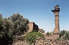 Remains of east facade of the Roman Temple, Salim, Syria