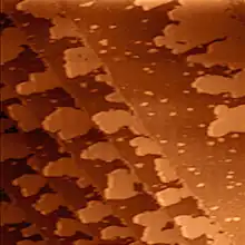 One-atom-thick silver islands grown on terraces of the (111) surface of palladium. Image size is 250&nbsp;nm by 250&nbsp;nm.