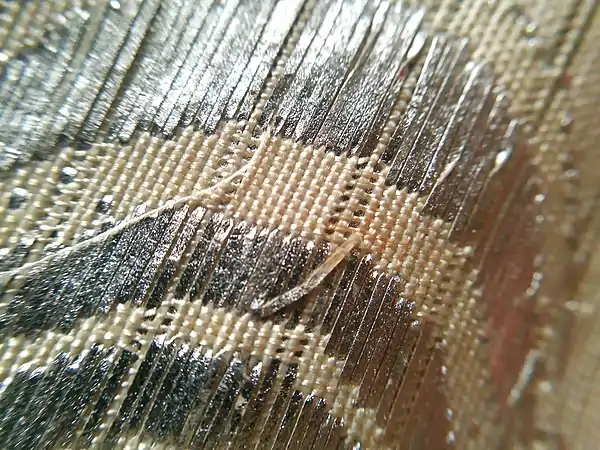 Ro weave with silvered-washi (paper) embroidery, showing twisted warp in open space