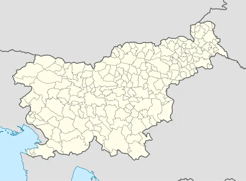 Slovenj Gradec is located in Slovenia