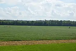 Along State Route 37 northwest of Alexandria