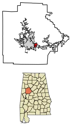 Location of Cottondale in Tuscaloosa County, Alabama.