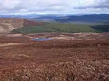 View from Meall Odhar ridge Looking down the heathery slopes of Meall Odhar, with Loch Hoil below. A vast area of forestry extends north-eastwards beyond the loch. Relatively modest hills often have excellent views and this is no exception.