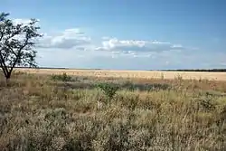 Landscape in Volgodonsky District